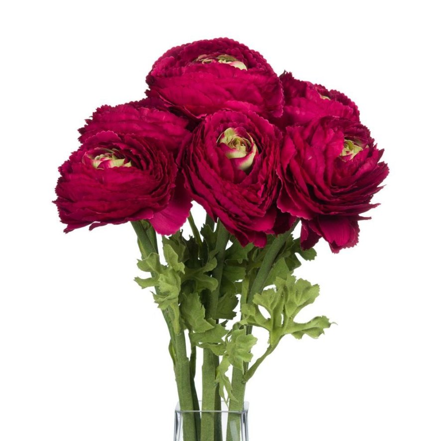 Woods Red Ranunculus Spray