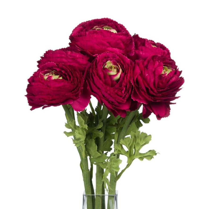 An image of Red Ranunculus Spray