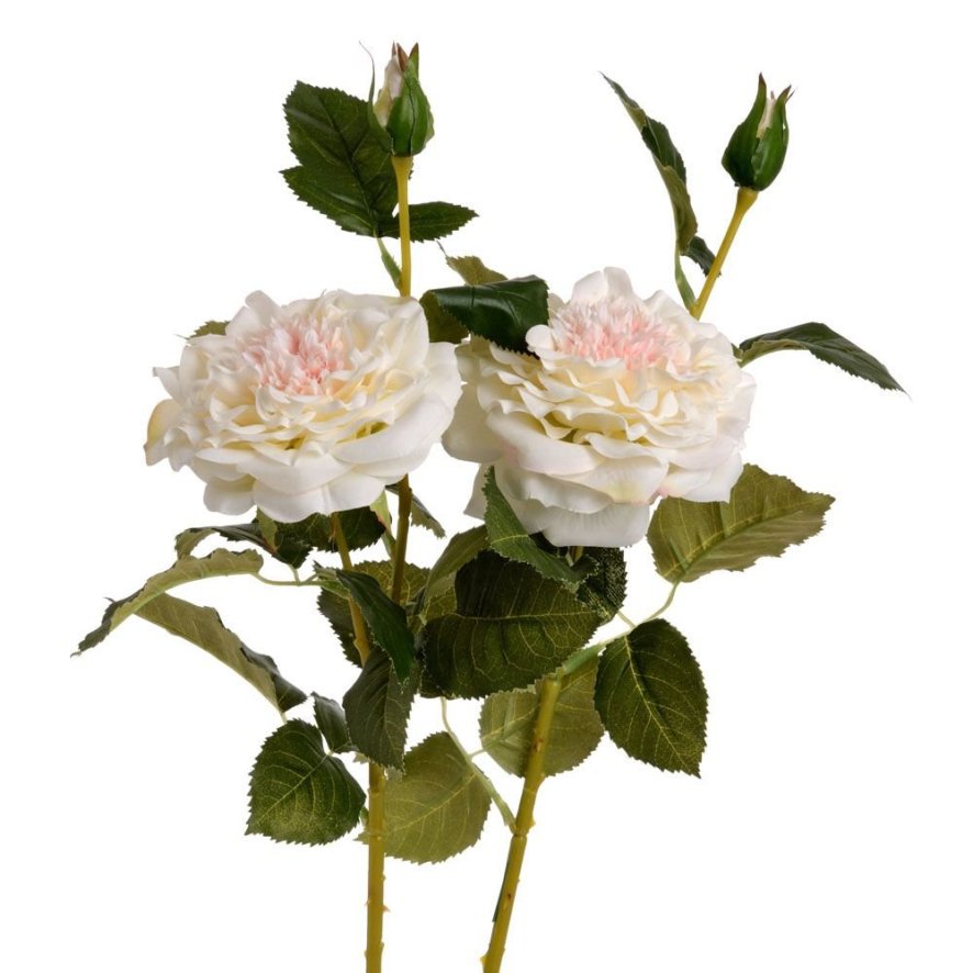 Woods White Garden Rose Spray