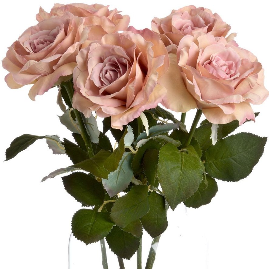 An image of Pink Silk Garden Rose