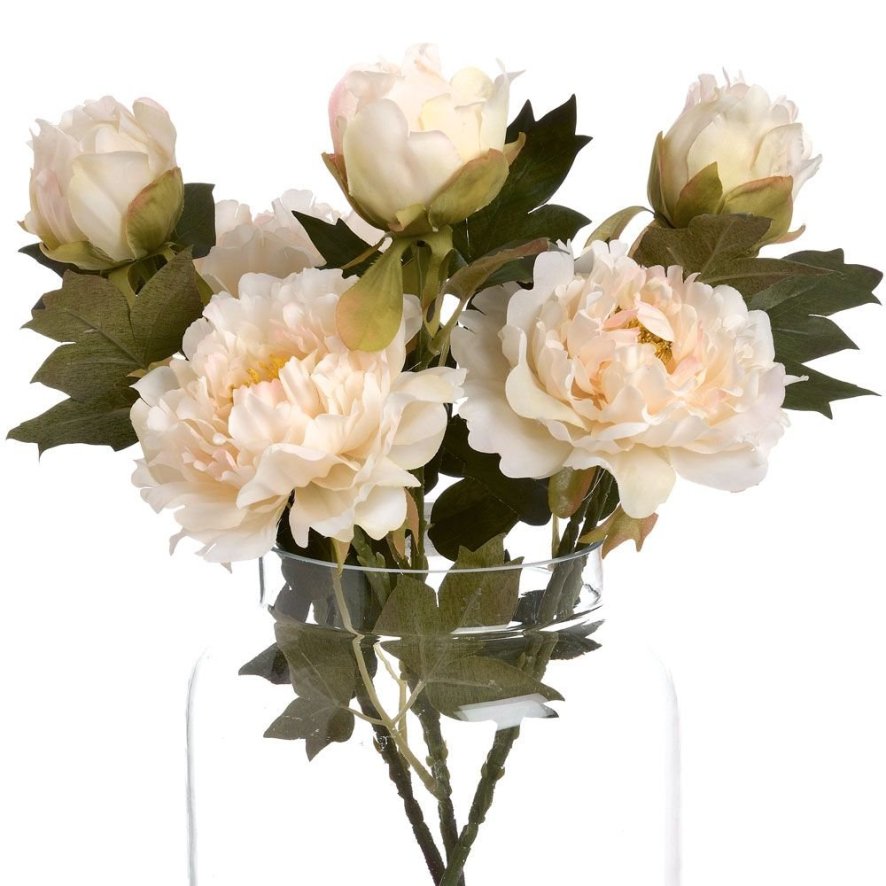 Woods White Fashion Peony