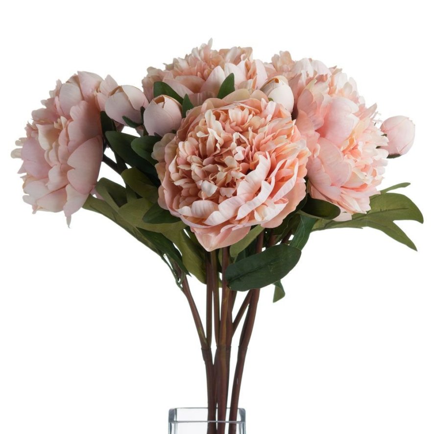 Woods Peach Peony Rose