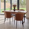 Adelaide 180cm Dining Table with 4 Carlton Chairs in Tan