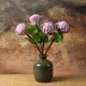 Woods Protea Stem 45cm