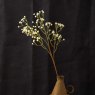 Woods GYPSOPHILA spray 63cm