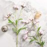 Woods Dicentra spray 86cm