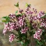 Woods Prunus persica branch 91cm