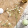 Woods GYPSOPHILA 62cm
