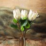 Woods Protea Stem  Open 68cm