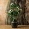 Woods HYDRANGEA branch 68cm