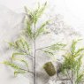 Woods foxtail grass 104cm