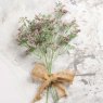 Woods Gypsophila paniculata 68cm