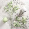 Woods Gypsophila paniculata 68cm