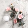 Woods Camellia Japonica 51.5cm