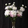 Woods DAHLIA 86cm