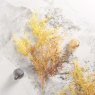 Woods Coral branch 103cm