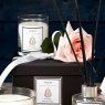 Luxury Single Wick English Damask Rose Candle