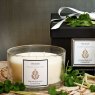 Multi Wick Lemongrass & Coriander Candle