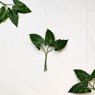 Artificial Anthurium Leaf Bundle