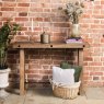 Clearance Darwin Console Table